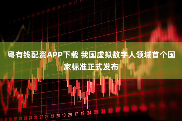 粤有钱配资APP下载 我国虚拟数字人领域首个国家标准正式发布
