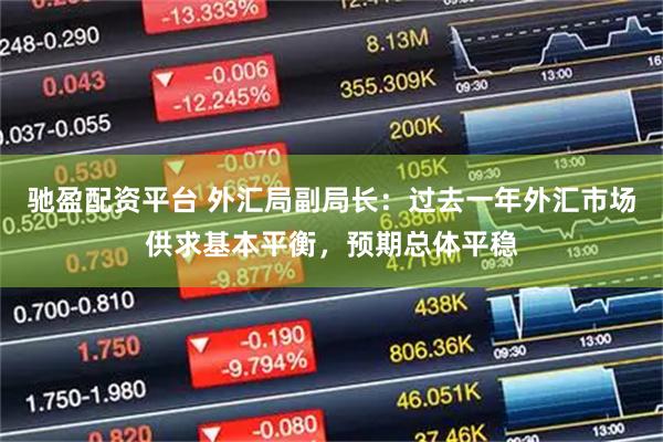 驰盈配资平台 外汇局副局长：过去一年外汇市场供求基本平衡，预期总体平稳