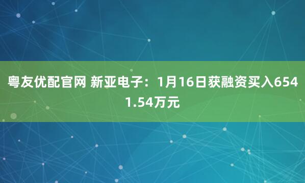粤友优配官网 新亚电子：1月16日获融资买入6541.54万元